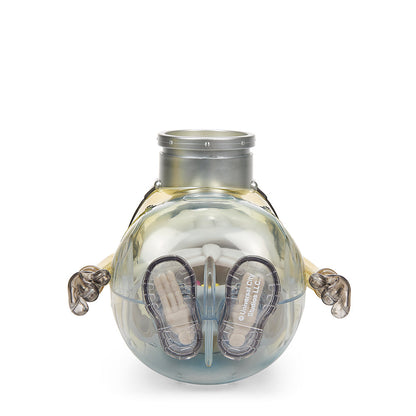 Minions Anatomy 8” Art Figure by Kidrobot - OG Edition