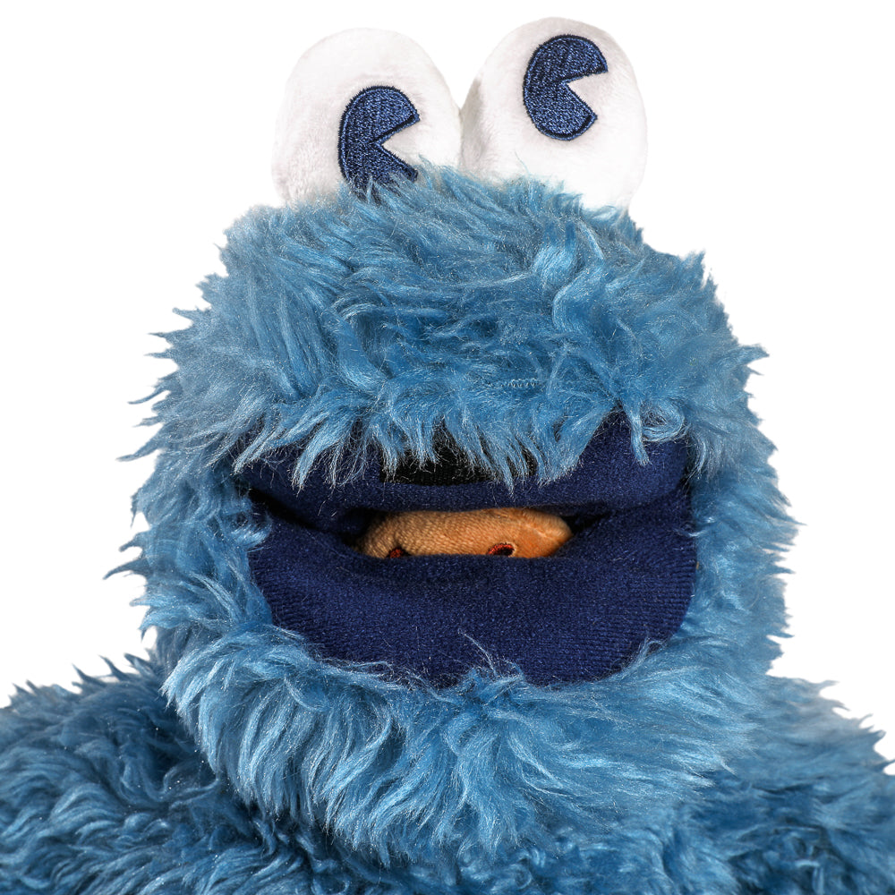 Sesame Street Cookie Monster 13” Interactive Plush
