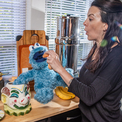 Sesame Street Cookie Monster 13” Interactive Plush