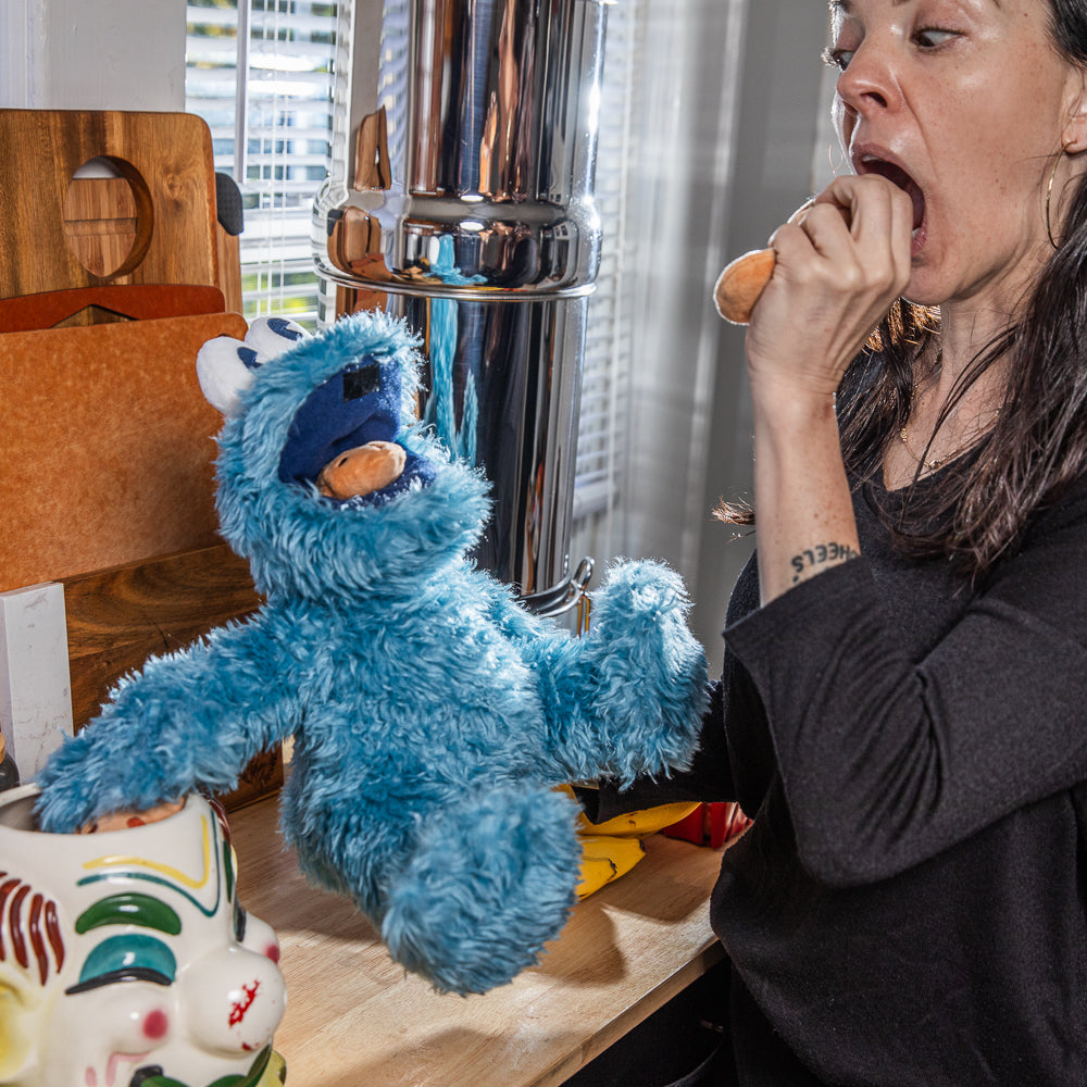 Sesame Street Cookie Monster 13” Interactive Plush