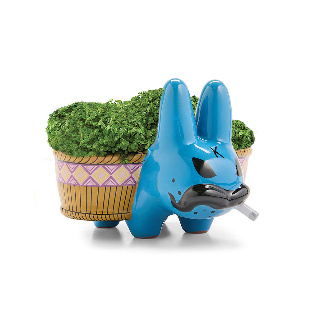 Chia Pet Smorkin’ Labbit - Smokin' Cool Blue & Red Edition Bundle (Limited Editions)