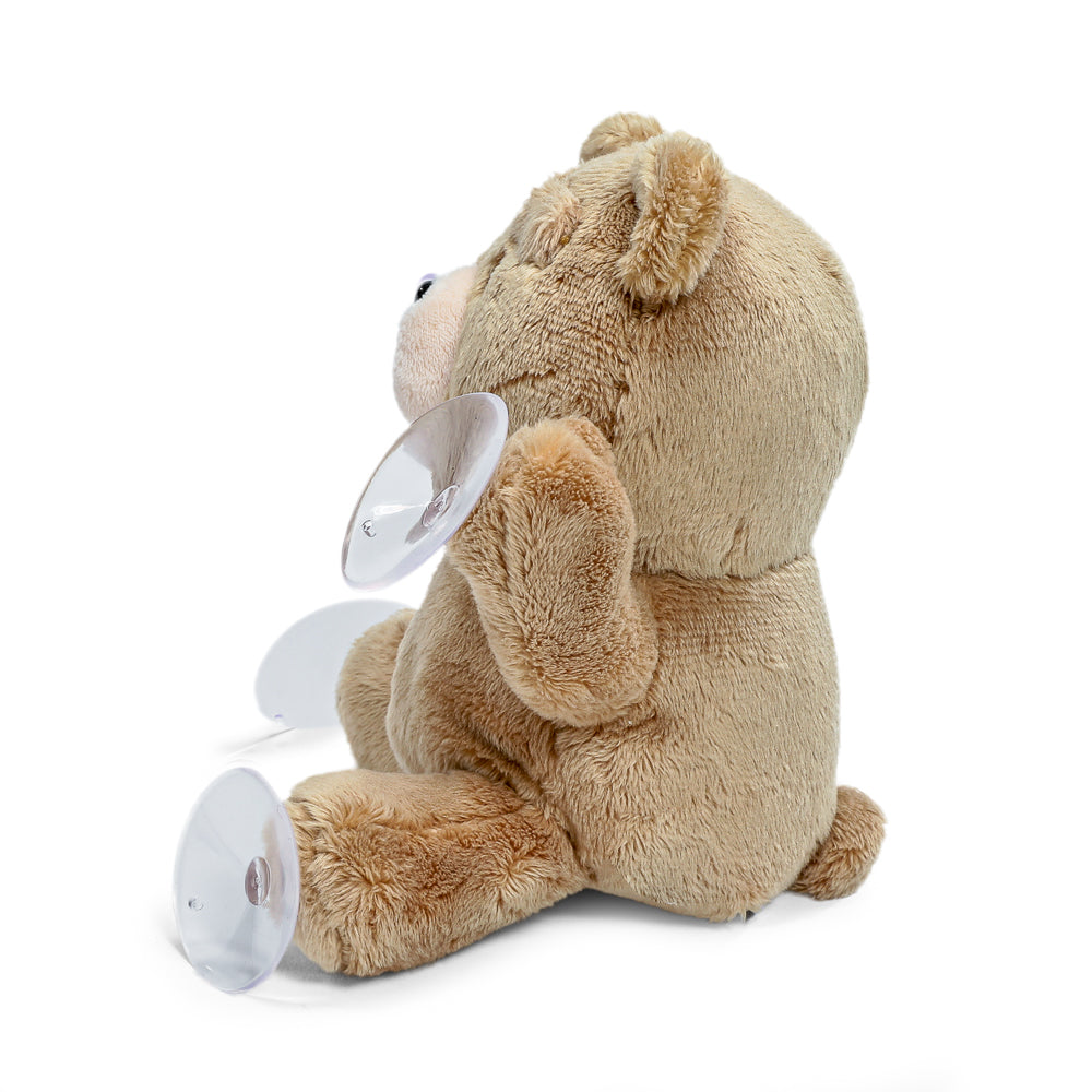 Ted 6” Plush Window Clinger by Kidrobot