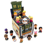 Casepack of 24 Blind Boxed Figures
